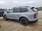 2025 KIA Telluride sx