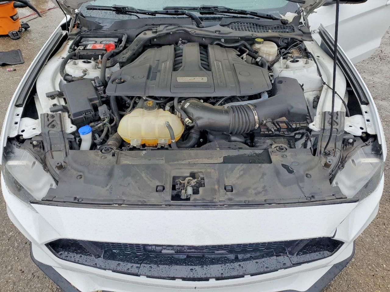 2021 Ford Mustang gt