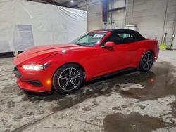 2025 Ford Mustang for sale in North Billerica, MA