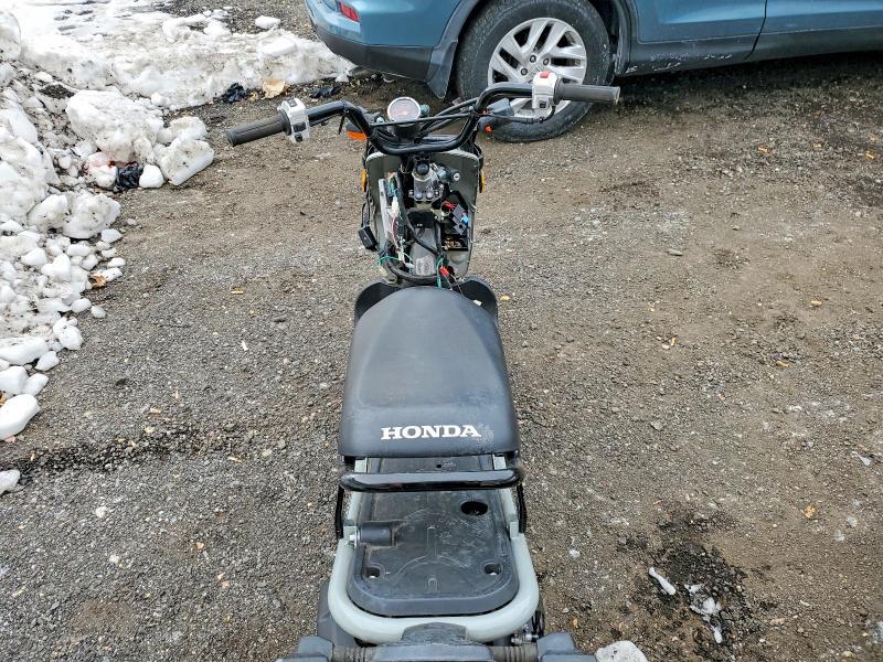 2022 Honda Nps50