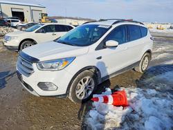 Ford Escape salvage cars for sale: 2017 Ford Escape se