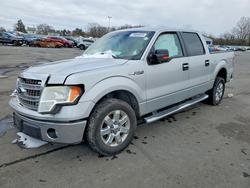 Ford f150 Supercrew Vehiculos salvage en venta: 2013 Ford F150 Supercrew