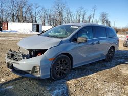 Vehiculos salvage en venta de Copart Baltimore, MD: 2025 Honda Odyssey Sport-l