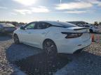 2019 Nissan Maxima