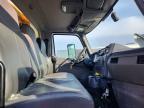 2023 International MV607 Refrigerated BOX Truck