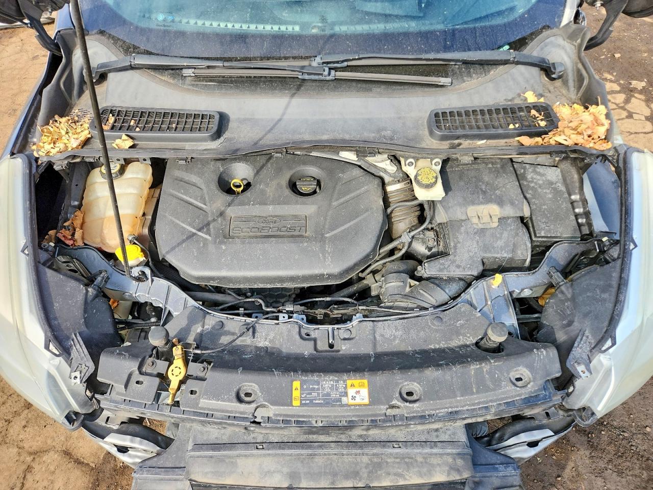 2013 Ford Escape sel