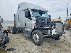 Salvage trucks for sale at Lexington, KY auction: 2025 Freigliner 2025 Freightliner Cascadia 126 Semi Truck