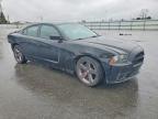 2014 Dodge Charger sxt