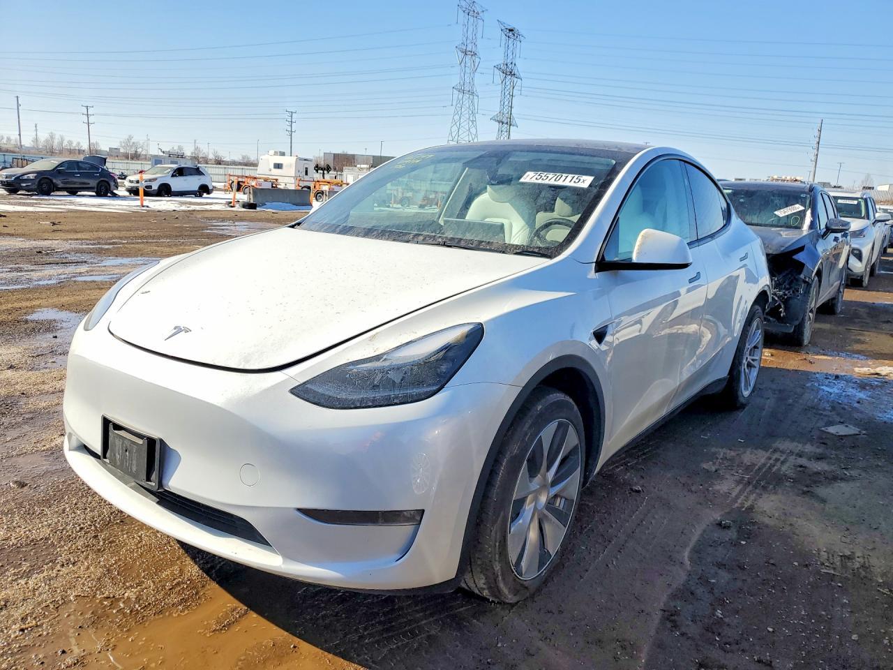 2023 Tesla Model y