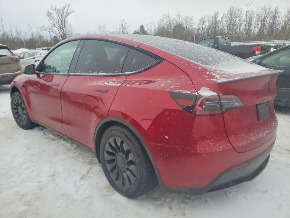 2025 Tesla Model y