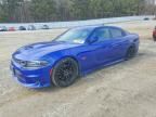 2019 Dodge Charger Scat Pack