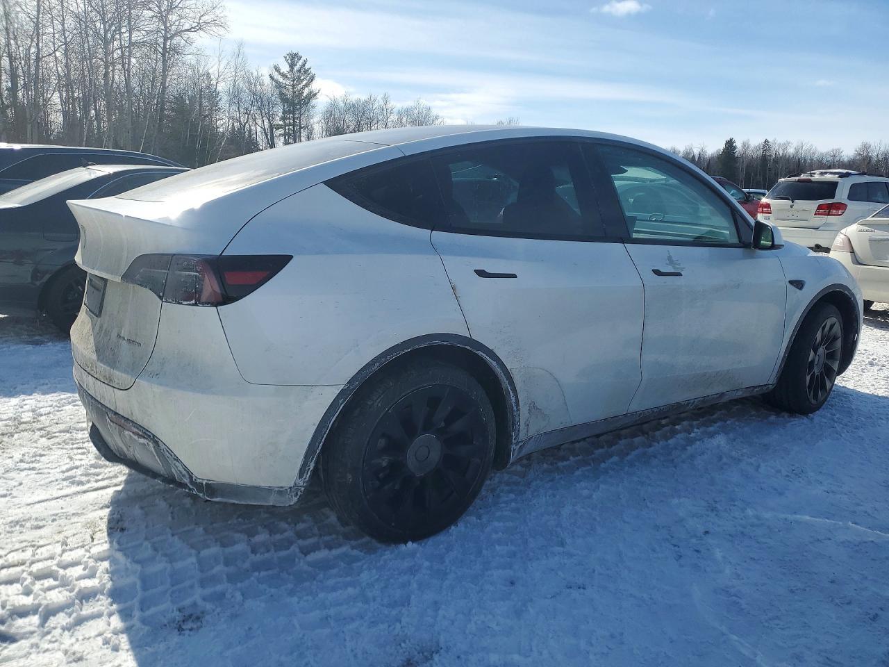 2024 Tesla Model y