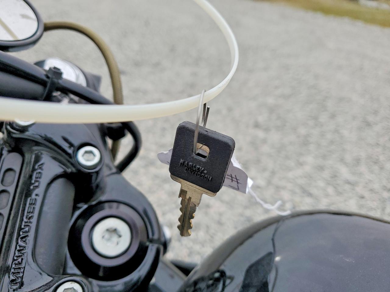 2019 Harley-Davidson XL1200 X