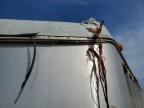 2007 Western World, Inc. 2007 Western World Livestock Trailer