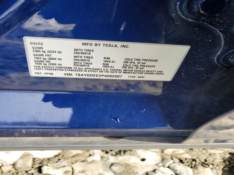 2023 Tesla Model y