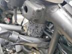 2025 Kawasaki EX500