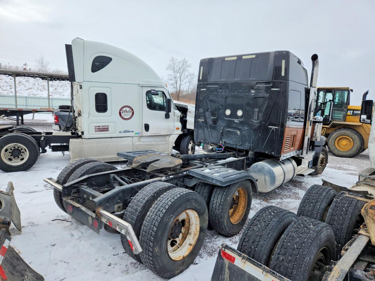 2019 International Lonestar