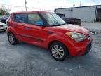 2012 KIA Soul +