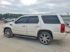 2013 Cadillac Escalade Luxury