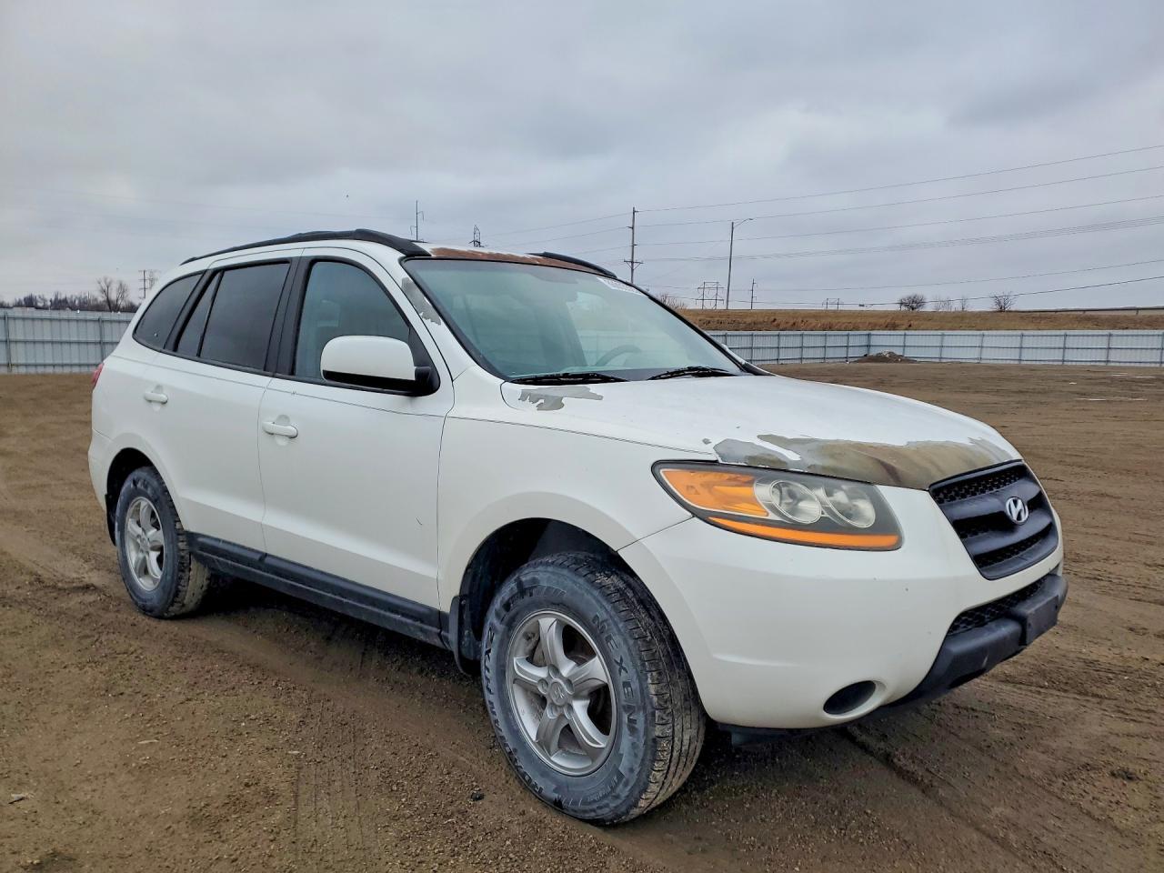 2008 Hyundai Santa fe gls