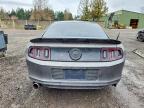 2013 Ford Mustang