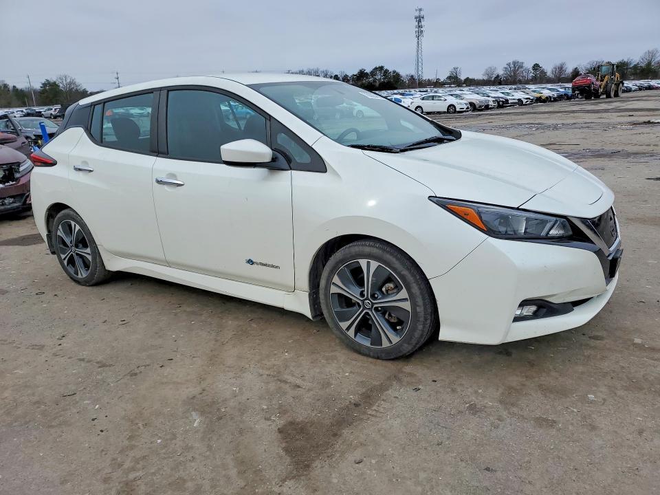 2018 Niss Leaf sv