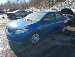 2009 Toyota Corolla Base for sale in Marlboro, NY