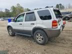 2004 Ford Escape xlt