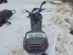 2024 Amig Scooter