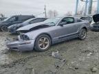 2006 Ford Mustang