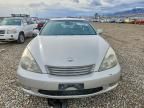 2004 Lexus Es 330