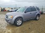 2008 Ford Escape hev