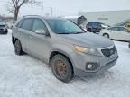 2011 KIA Sorento Base