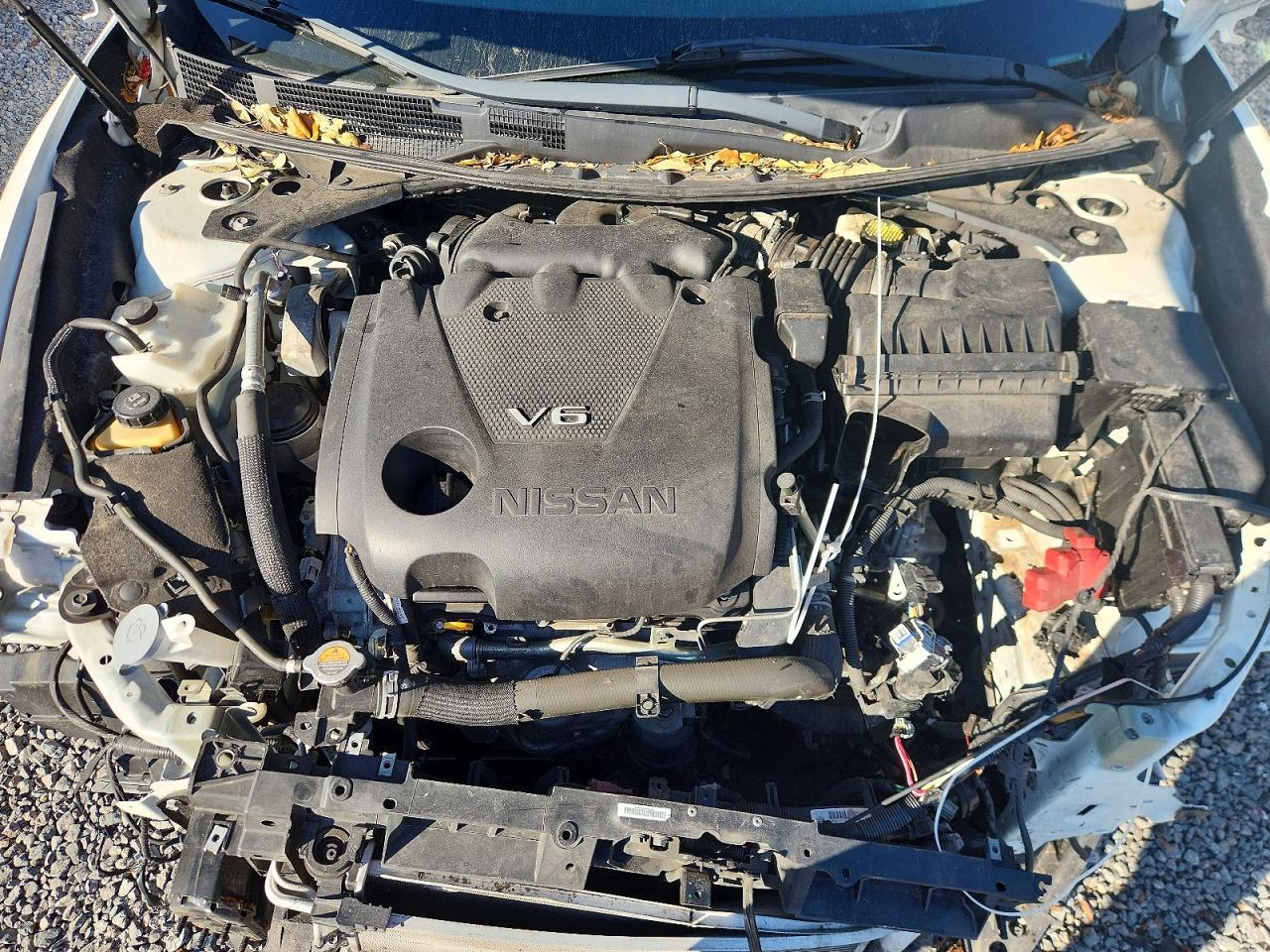 2019 Nissan Maxima s