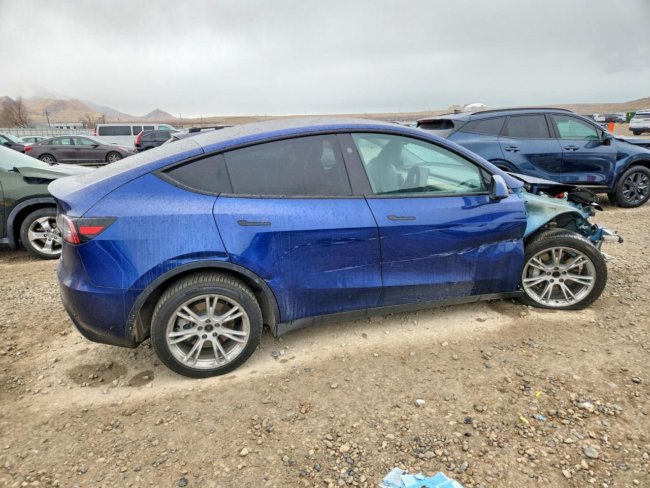 2024 Tesla Model y
