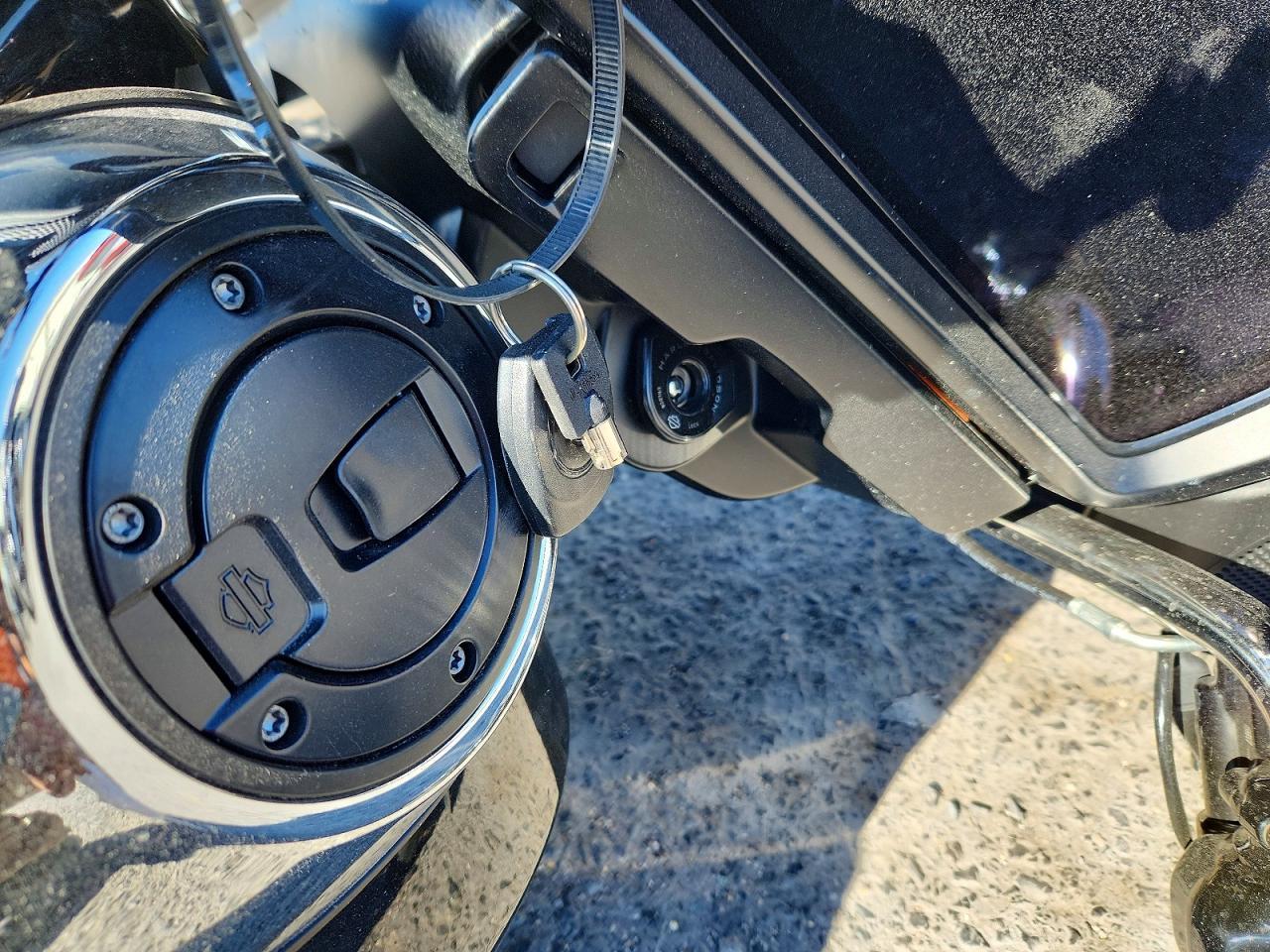 2024 Harley-Davidson Flhx