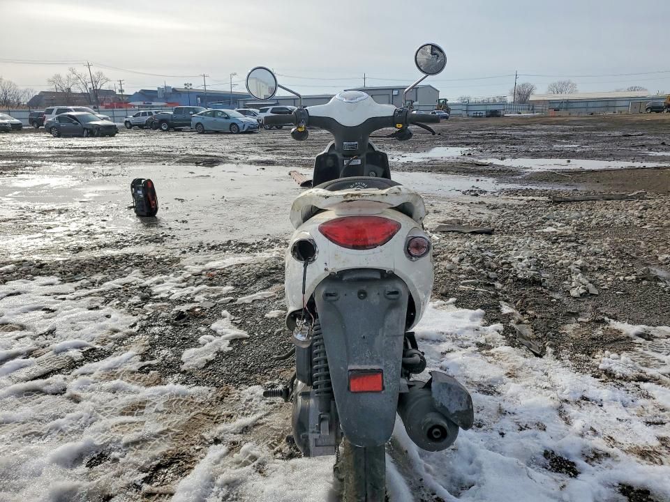 2024 Genuine Scooter Co. Buddy 50