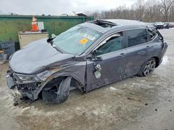 2019 Honda Cr-v exl for sale in Ellwood City, PA