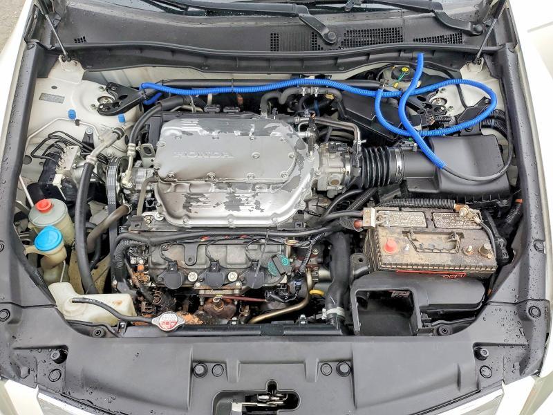 2010 Honda Accord exl