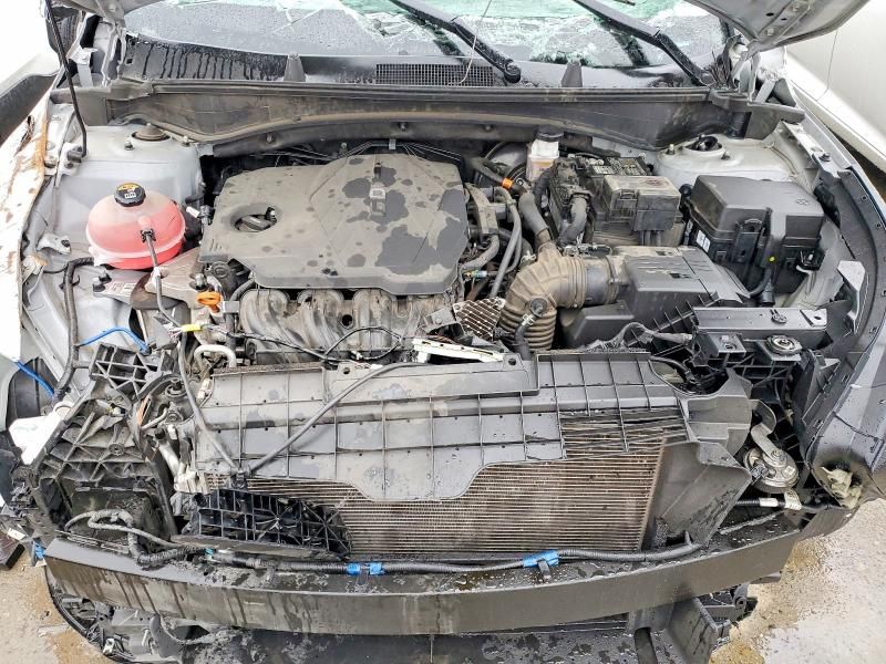 2024 KIA Sportage x Line