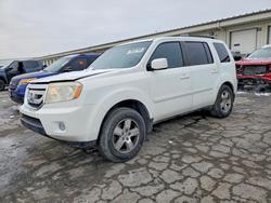 2011 Honda Pilot exl en venta en Louisville, KY