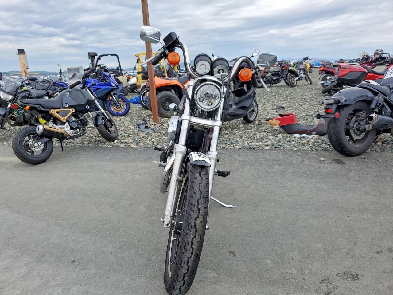 1991 Harley-Davidson Xlh1200 c