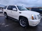 2008 Cadillac Escalade Luxury