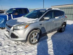 Salvage cars for sale from Copart Ottawa, ON: 2013 Ford Escape se