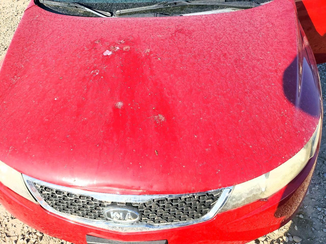 2013 KIA Forte ex