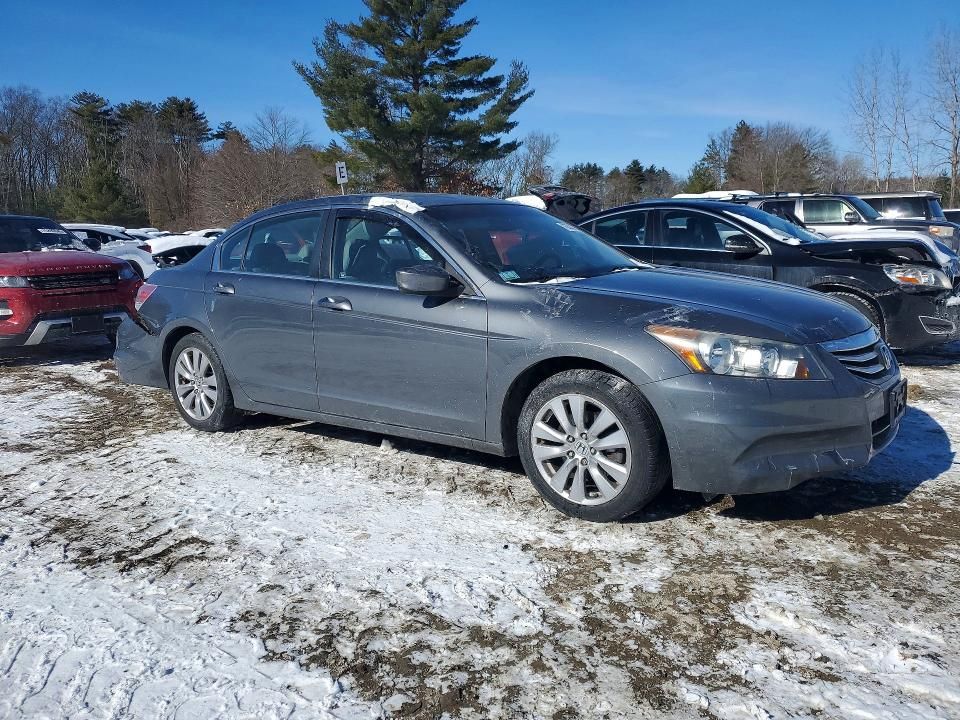 2011 Honda Accord exl