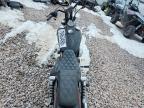 2013 Harley-Davidson Fxdb Dyna Street BOB