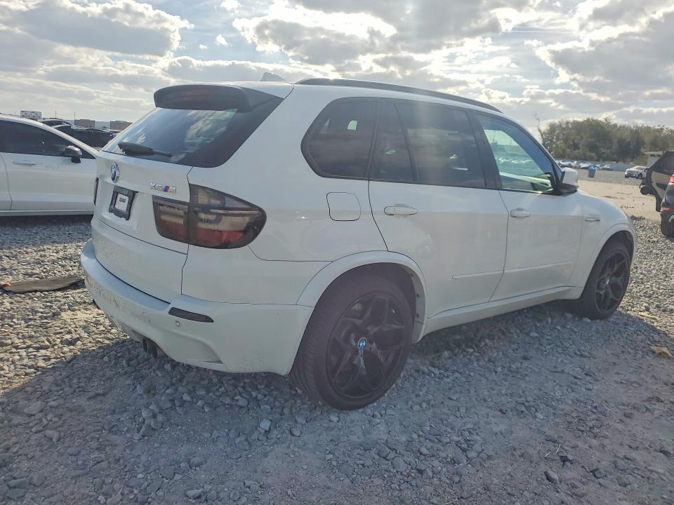 2010 BMW X5 m