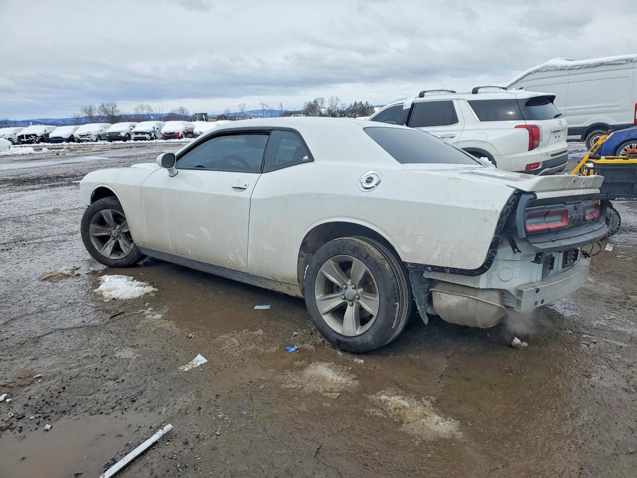 2019 Dodge Challenger sxt