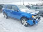 2011 Ford Escape xls